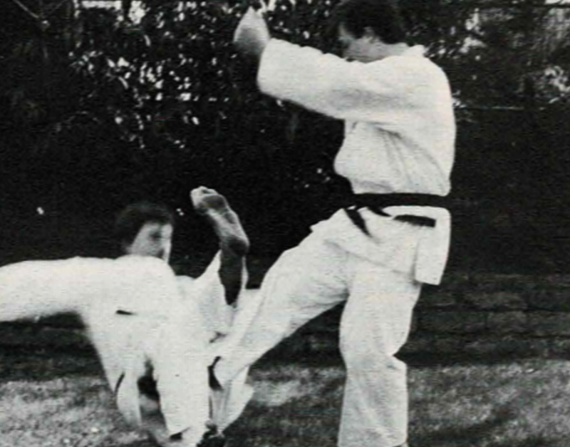 Karate Beinfeger 