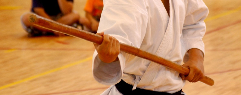 SANSHAKUBO Karate