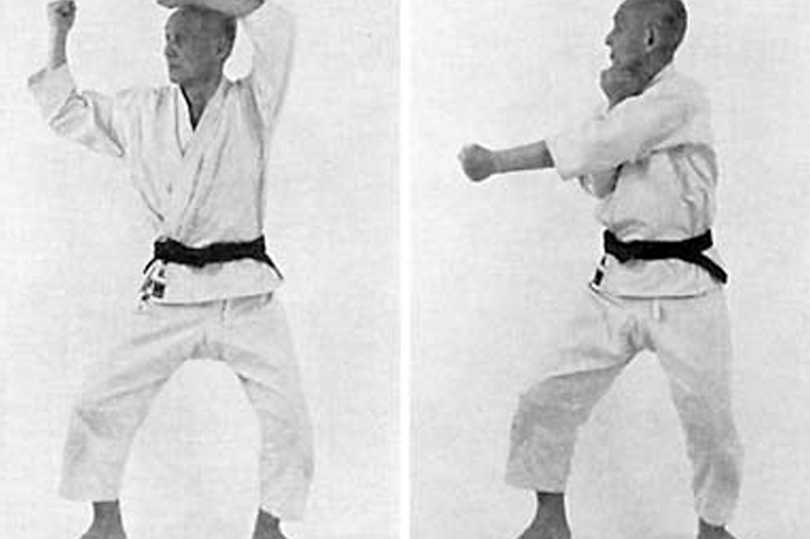 Karate Wado-Ryu Technik