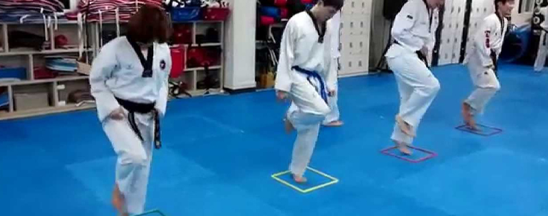 Muskulatur Taekwondo