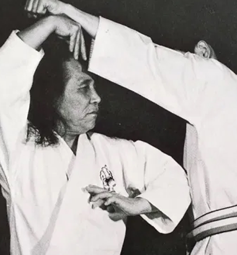 Gogen Yamaguchi Karate