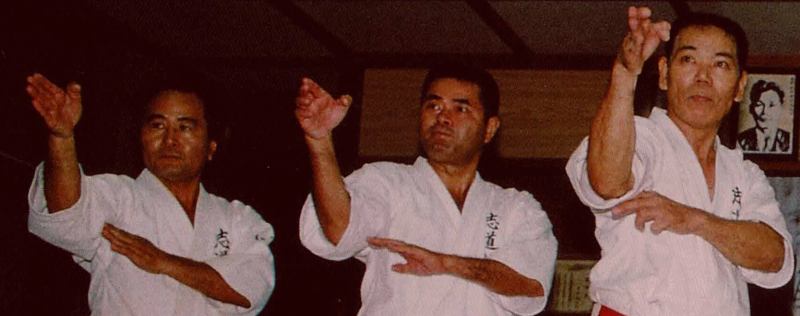 Karate Lehrer